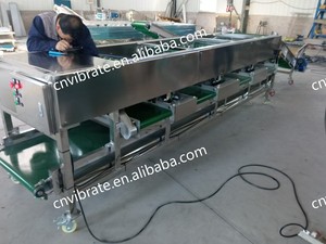 VBJX <strong>Automated</strong> Button Avocado Sorter Mushroom <strong>Sorting</strong> Olive Cherry Grader Elevator Conveyor <strong>Machine</strong> - Product Image 3