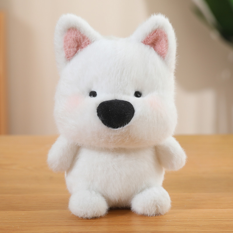 Cucciolo delle Highland del West