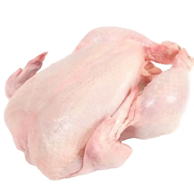 HALAL đông lạnh toàn bộ gà để bán ở Dubai đông lạnh chân gà chân gà để bán số lượng lớn Ba Lan