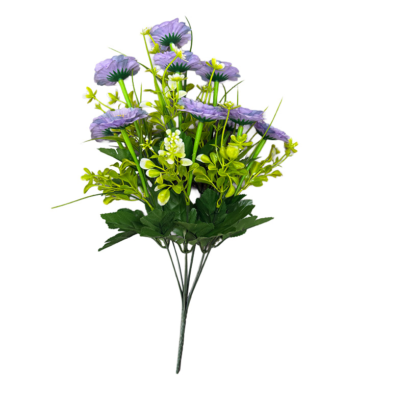 Lavanda