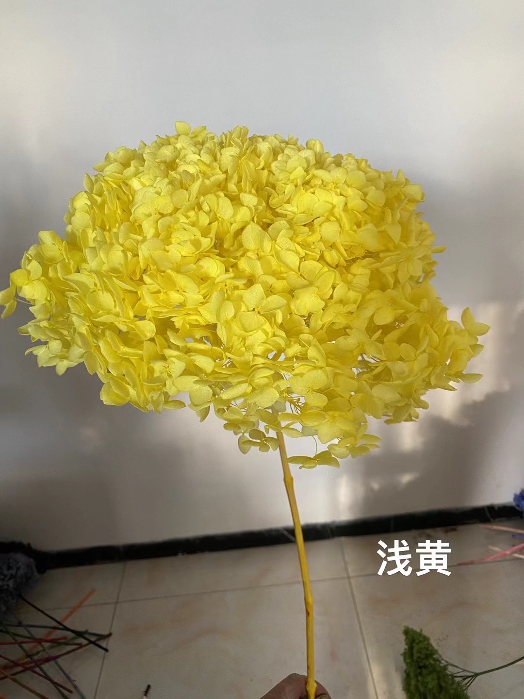 Giallo-chiaro