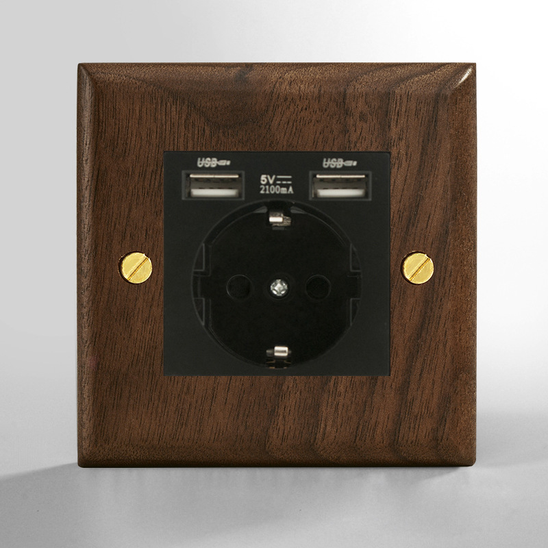 Prise européenne avec 2 ports USB