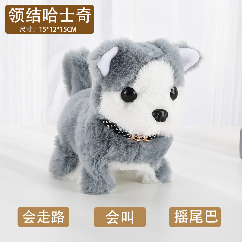 Collier Husky