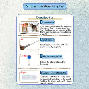 Kit de <span class=keywords><strong>test</strong></span> rapide TOXO Ag anticorps Toxoplasma détection rapide des maladies vétérinaires - Product Image 4