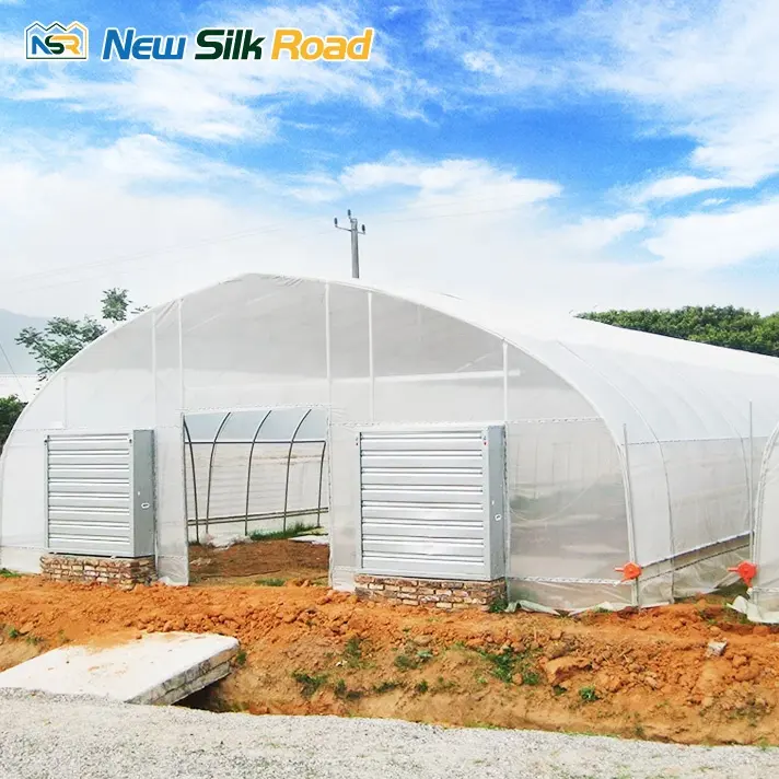 Petite serre à tunnel agricole en poly Couverture de jardin à faible coût avec film plastique Matériau en acier PE monocouche pour plante