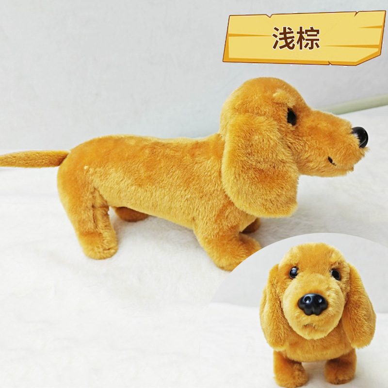 Light brown dachshund