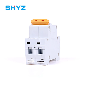 Disyuntor en miniatura 2P 63A C Curva Disyuntor en miniatura Protección LSI Plástico Cobre Mini MCB Clasificado 25A 4.5KA - Product Image 6