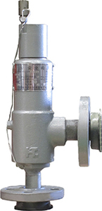 Endüstriyel buhar sistemi için yüksek performanslı buhar servisi basınç tahliye emniyet valfi çin emniyet valfi ASME V - Product Image 4