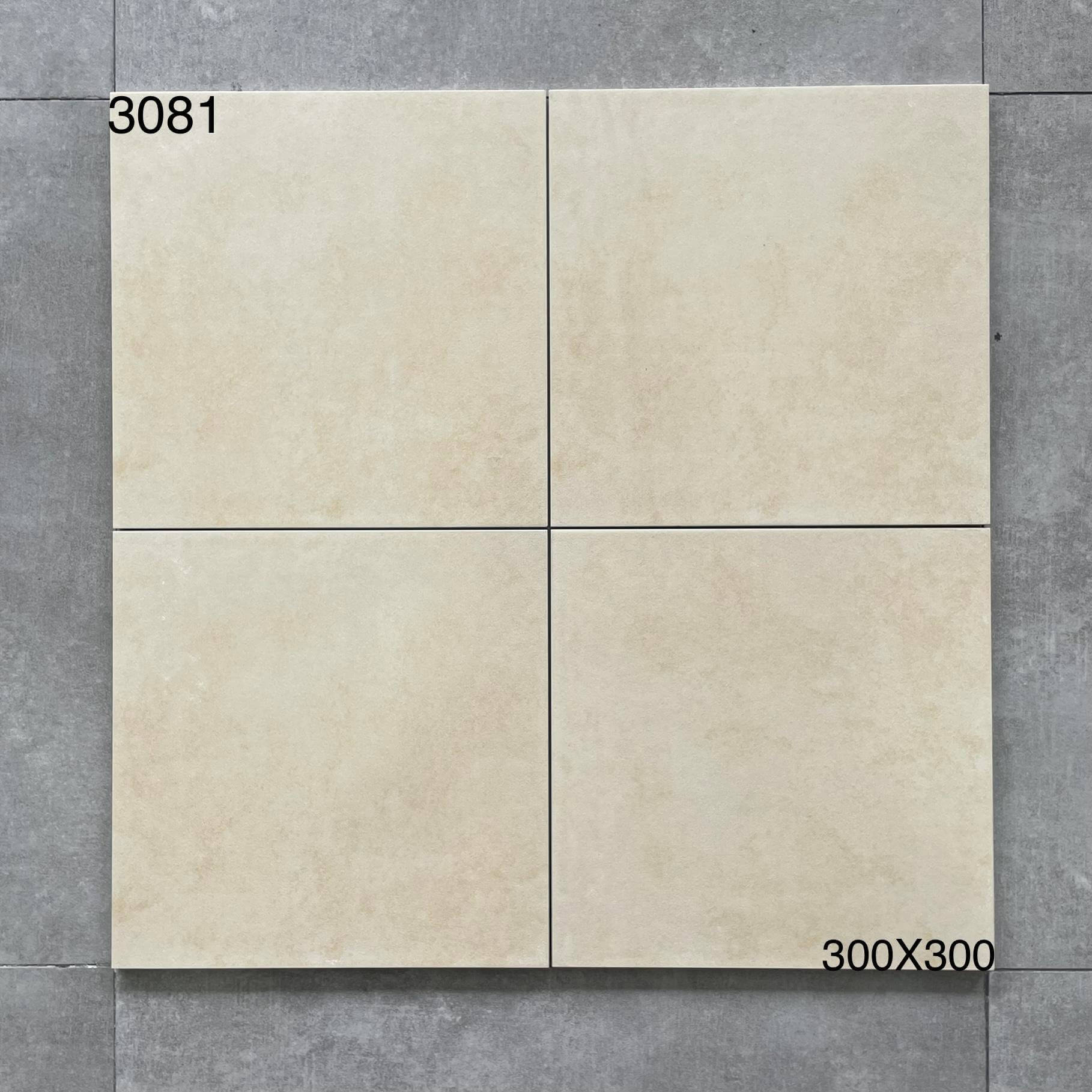 3081