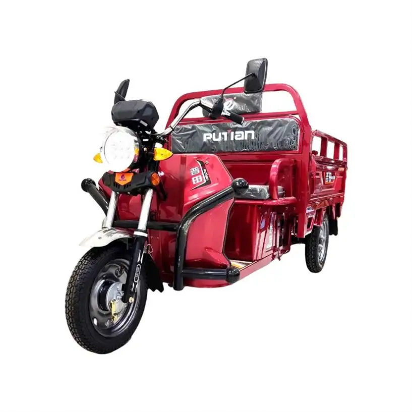 Popular Design Trike Motorcycle 300Cc 2000W Electric Car High Speed 3 Wheel Motor Gas Powered China Motorized Tricycle