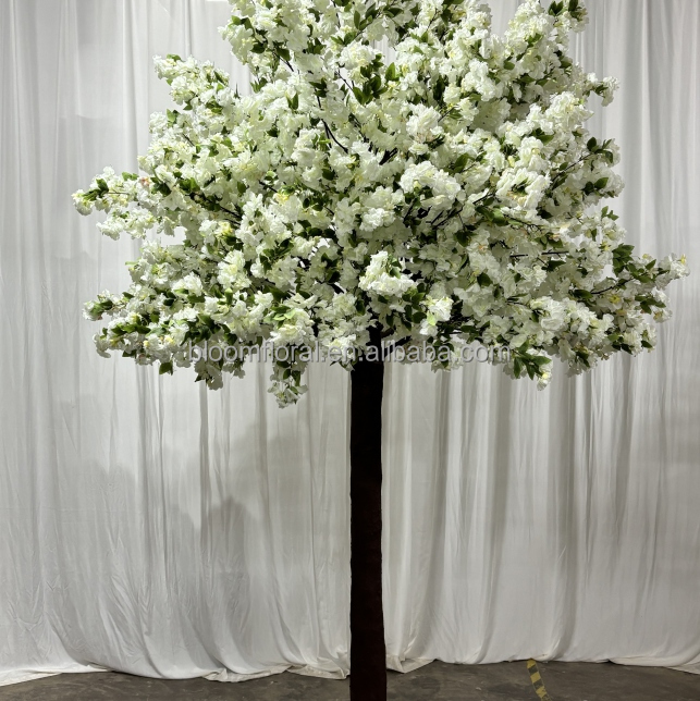 Vert et Blanc