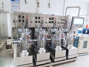 Laboratuvar maya mantarları yosun mekanik karıştırma 5L cam biyoreaktör fermentör BLBIO-5GJA-3 fermantasyon makinesi fiyat - Product Image 2