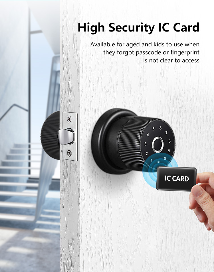 Luxury TTlock APP Digital Door Knob Rfid Card Key Digit Fingerprint Smart Lock