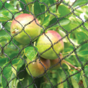 Fabricante de redes de plástico Red transparente para pájaros/Malla de plástico HDPE Redes tejidas para pájaros para atrapar pájaros - Product Image 4