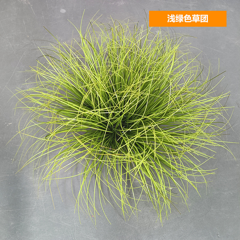 Mottes d'herbe vert clair