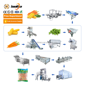 LONKIA野菜ブラシ洗浄・ピーリングマシンフルーツピーラー野菜ダイサーブラストフリーザークイック凍結ライン - Product Image 2