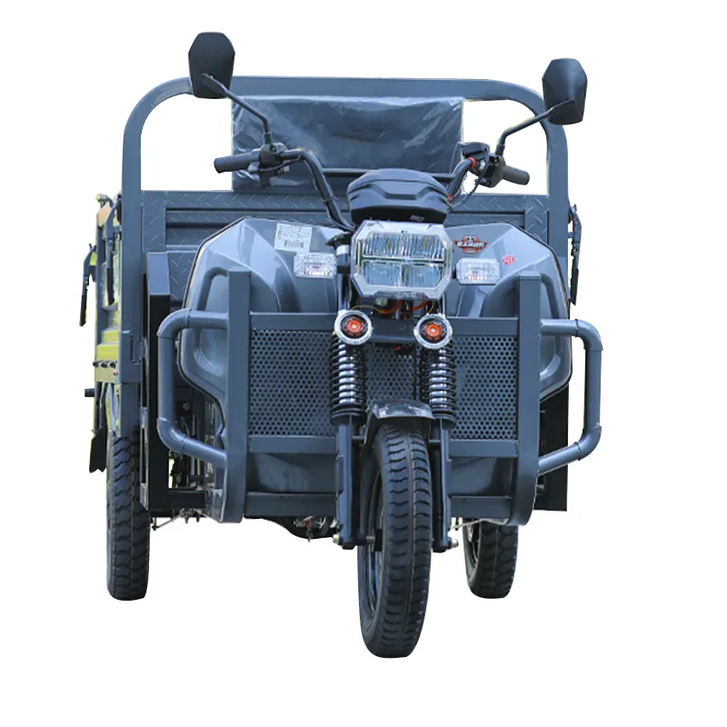 Elektrische Gemotoriseerde Vracht Driewielers Groothandelsprijs 3 Wielen Borstelloze Motor 60V Elektrische Motorfiets 1000W Open Type Trike