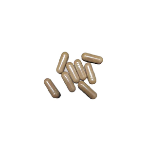 Handelsmarken-Ginkgo-Biloba-Kapseln, die traditionell zur Unterstützung einer gesunden Durchblutung und einer Kräuter ergänzung mit Gehirn funktion verwendet werden - Product Image 2