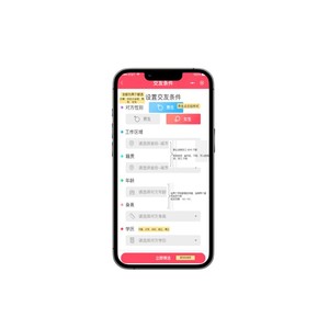 Anpassbares Online-Chat-System für die Entwicklung von Desktop-Anwendungen für Heiraten und soziale Dating