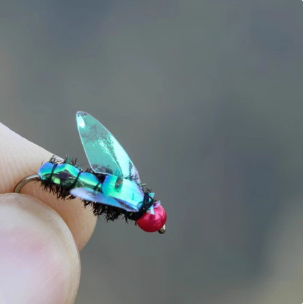 Mosca peluda azul Color aleatorio