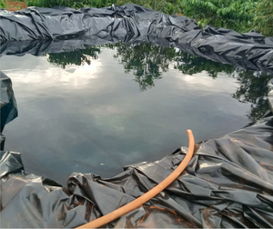 Rivestimento impermeabile anti-uv HDPE Geomembrane Design industriale in stile PE foglio per acquacoltura stagno agricolo - Product Image 3