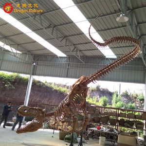 玻璃纤维和树脂材料模拟的原始尺寸室内人造恐龙霸王龙化石 - Product Image 2
