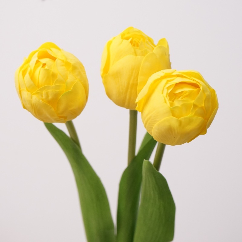 Giallo