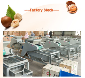 Hazelnut <strong>Shelling</strong> <strong>Machine</strong> <strong>Sorting</strong> Palm <strong>Kernel</strong> Crushing Processing Line Almond Sheller Price - Product Image 5