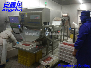 <strong>Color</strong> Sorter /<strong>color</strong> <strong>Sorting</strong> <strong>Machine</strong> Made in China for Dehydrated/dried/fresh Vegetable and Fruit - Product Image 5