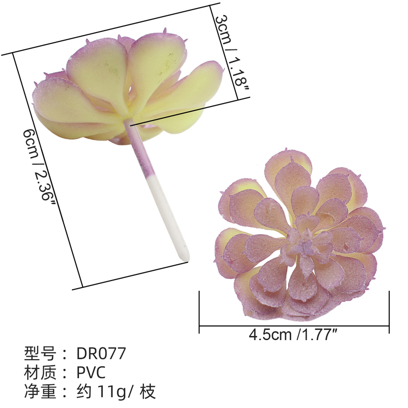 DR077