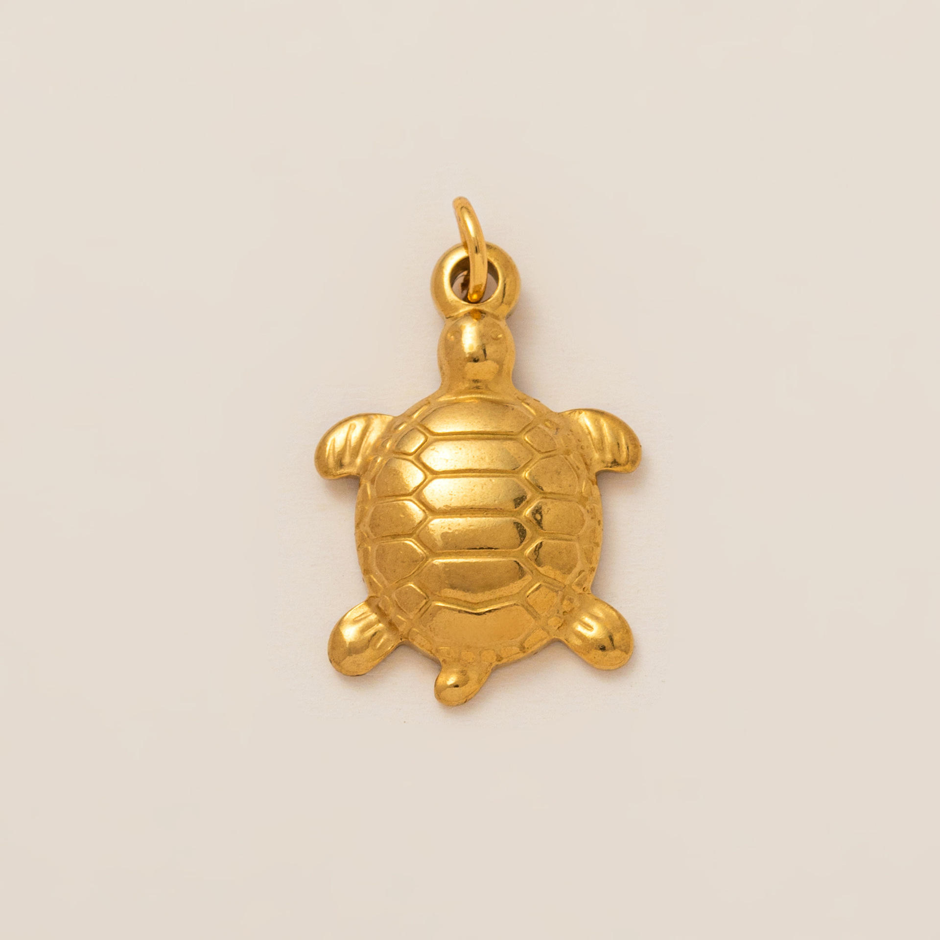 The pendant of the turtle
