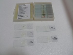 <strong>Microscope</strong> <strong>Slides</strong> <strong>of</strong> Pathology Prepared <strong>Slides</strong> <strong>Microscope</strong> Teaching Biology Science 100pcs Packed in <strong>Slide</strong> Box - Product Image 4