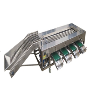 Rodillo Patata Verduras y Frutas Máquina clasificadora de acero inoxidable Máquina clasificadora de patatas - Product Image 1