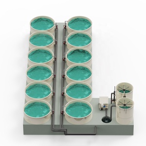 Commercial Recirculating Aquaculture System for Tilapia Salmon Fish Farm PP Material <strong>Filter</strong> <strong>Drum</strong> <strong>Filter</strong> for Ras Fish Farming