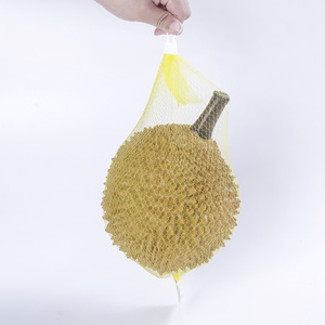 Extruded Tubular <strong>Net</strong> and <strong>Small</strong> Plastic <strong>Net</strong> Mesh Bag Roll - Product Image 4