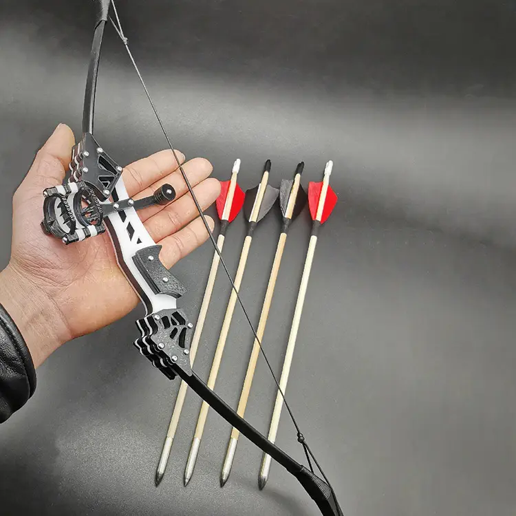 Hi Top Hard Archery Case Compound Top Point Archery Bow Youth Compound Bow Mini Bow And Arrow Set For Hunting