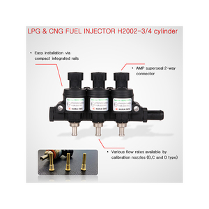Yüksek kaliteli H2002 enjeksiyon vanaları yeni durum LPG/CNG enjektör iyi atomizasyon açı araba Common Rail malzemeleri marka adı