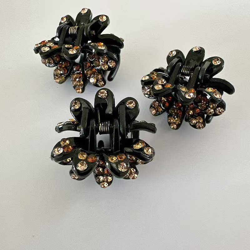 FS015-2 Champagne