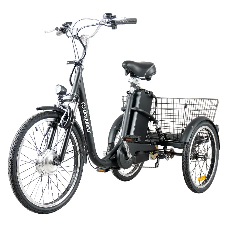 Trung Quốc Giá Tốt Nhất Điện Ba Bánh 250 Wát 3 Bánh Người Lớn Cargo Điện Trike