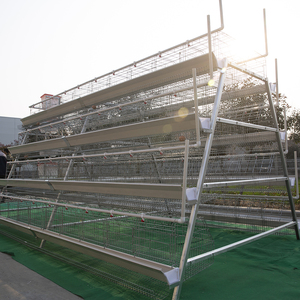 4000 Chim Gia Cầm Trang Trại Thiết Kế Pin Trứng Gà Hai Lớp Lồng Gia Cầm Lồng Bán Cho Ghana Trang Trại Tại Nhà Máy Giá - Product Image 6