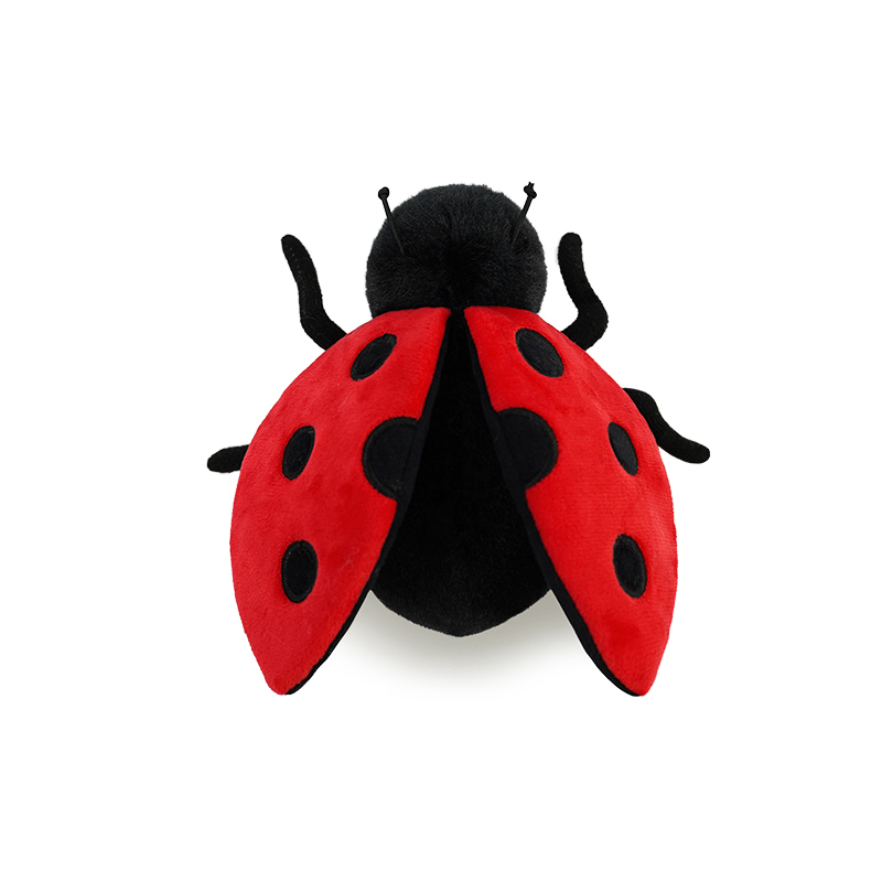 Ladybug