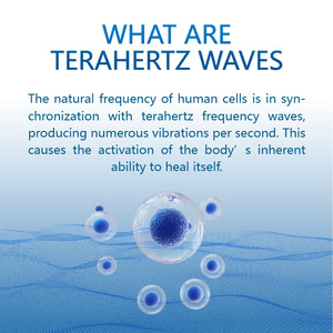 Vücut fizik tedavi için siyatik ve alt sırt ağrı kesici cihaz Terahertz terapi ekipmanları - Product Image 3