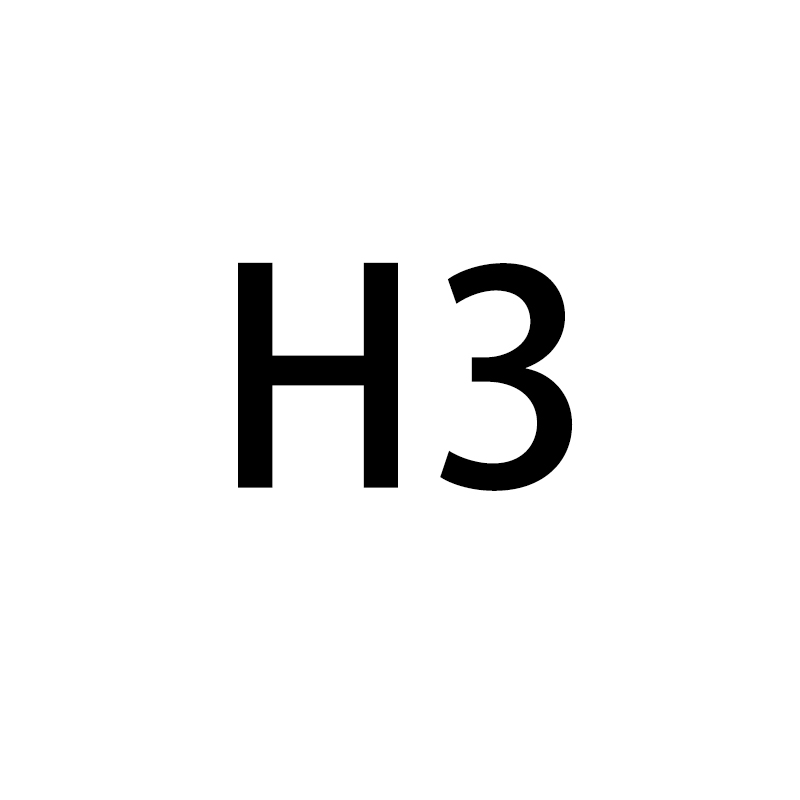 H3