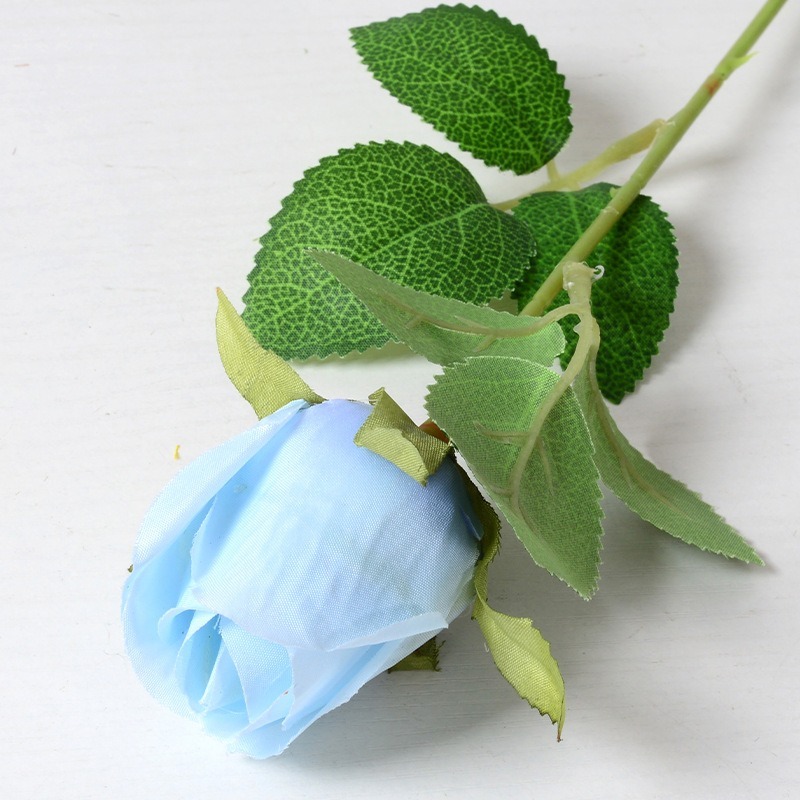 Bleu bébé