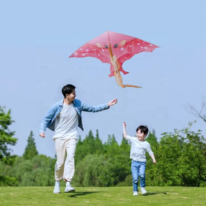 Đảm Bảo Chất Lượng Polyester Làm Phim Hoạt Hình Động Vật Diều Pterodactyl Diều Cho Trẻ Em Rồng Diều Với Đuôi - Product Image 6