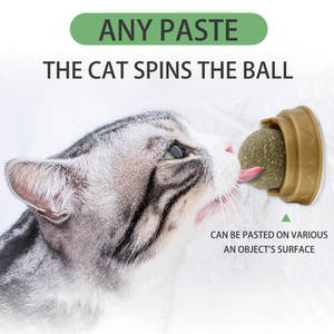 Meimiao Factory Direct Sales Cat Self Groomer With <strong>Catnip</strong> <strong>Catnip</strong> Al Por Mayor <strong>Catnip</strong> Lollipop Cat Mint - Product Image 4