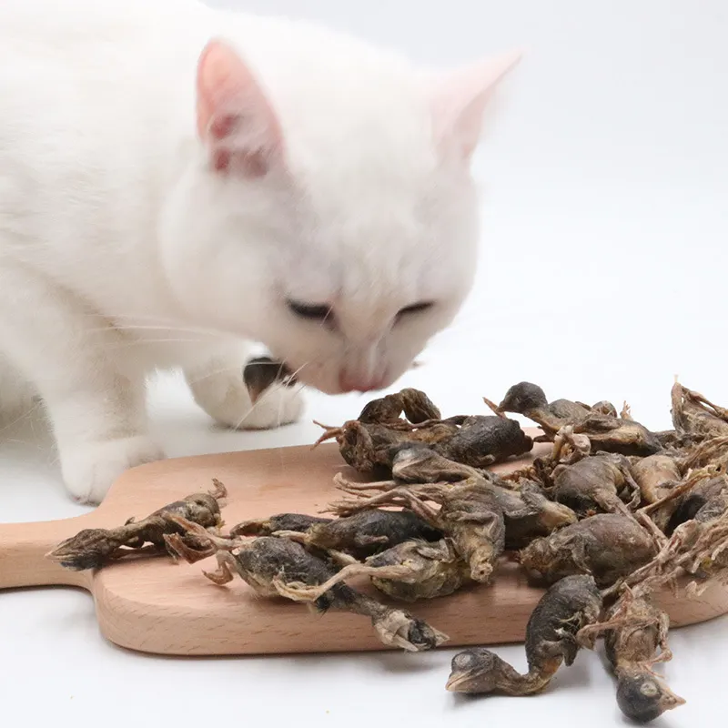 Wholesale OEM Natural Pure Meat Pet Treats Quail Freeze Dried Pet Treats FD Quail For cat