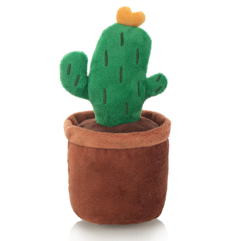 Cactus destructeur de maisons