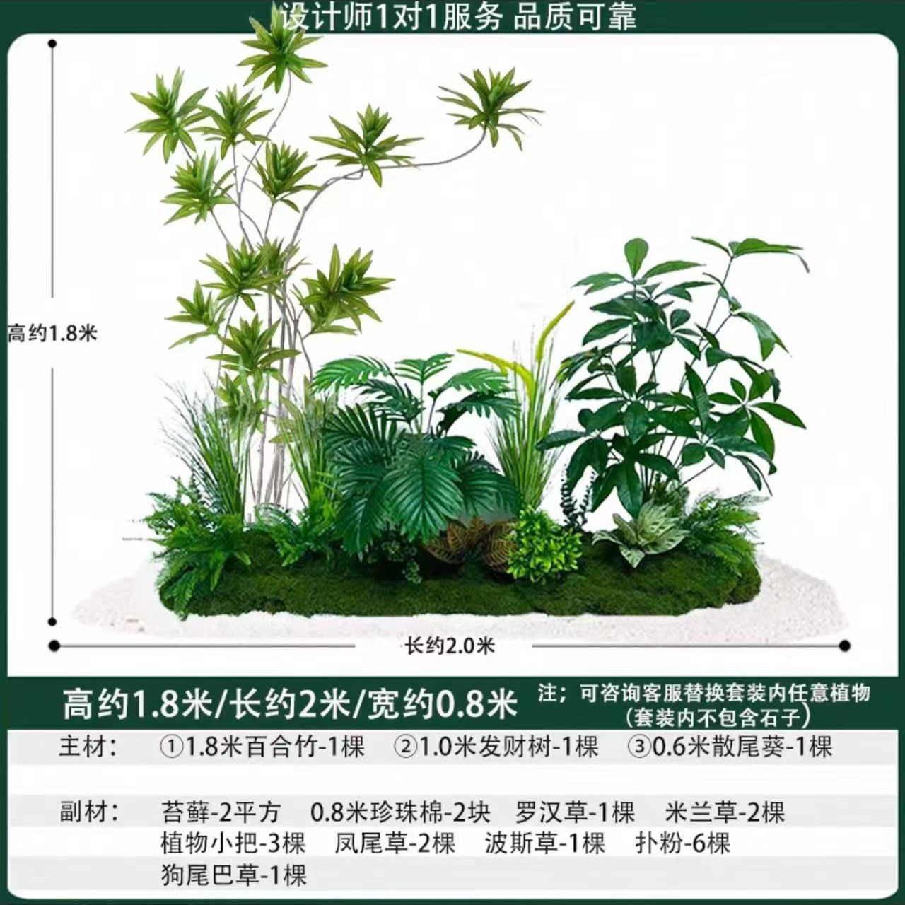 Ficus elastica 2mlong