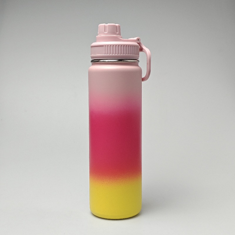 Degradado rosa ciruela amarillo (710 ml)